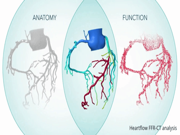 Klasmatiki efedreia rois Klasmatiki efedreia rois